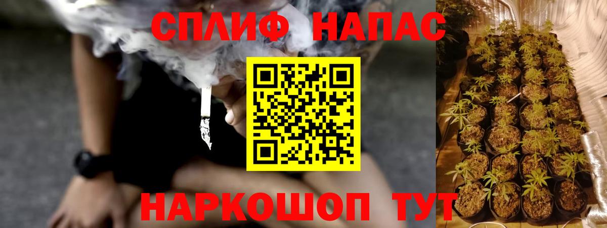 Бошки Шишки план  Вход с VPN  Каннабис MAZAR  Марихуана OG Kush  Скопин 